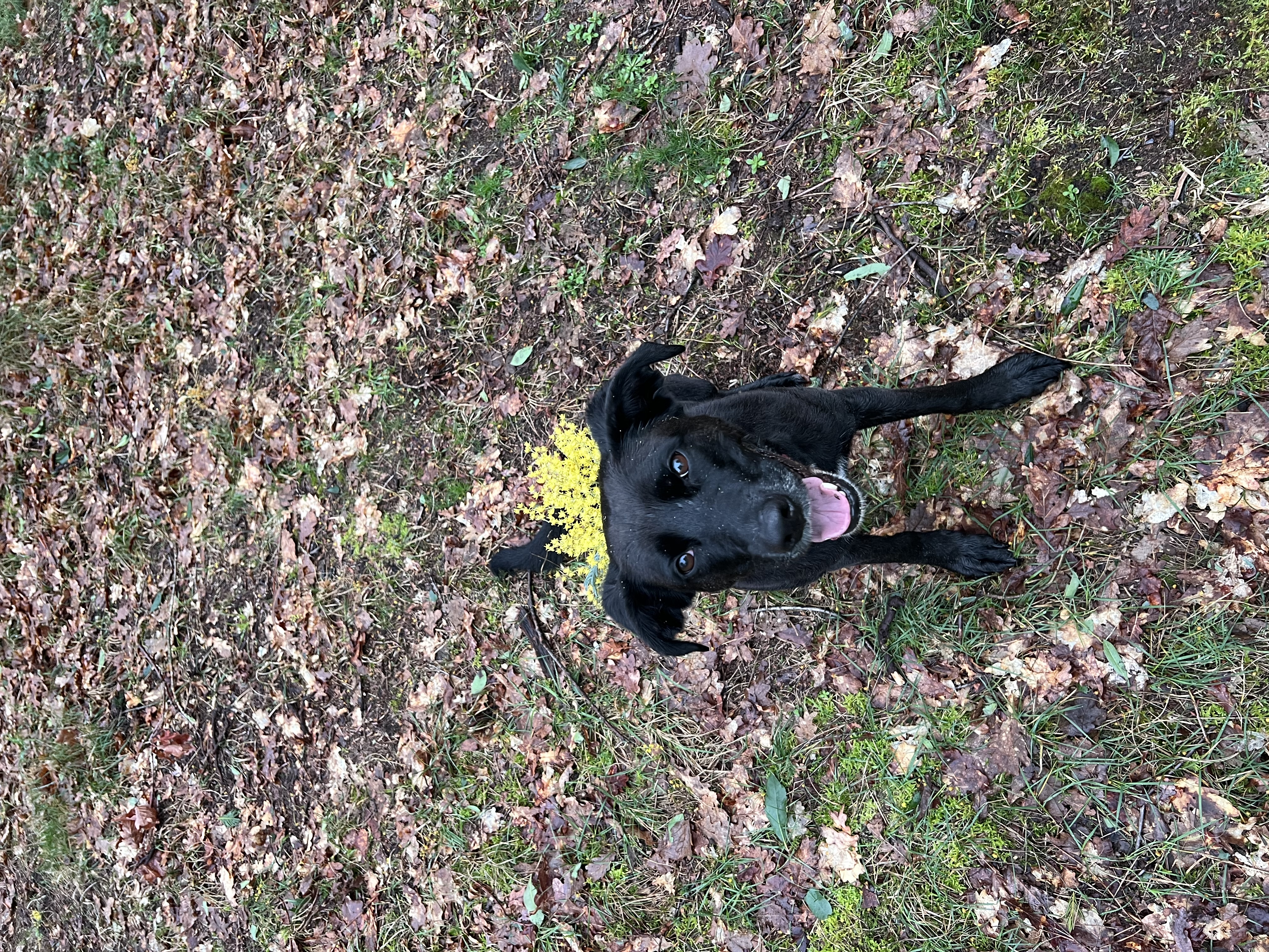 Balade en forêt
